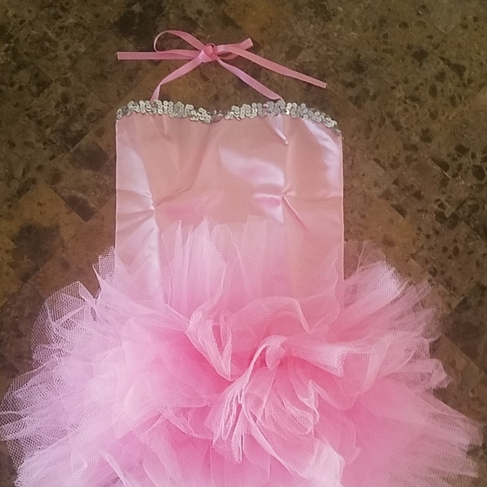 Costume Gallery Pink Satin Leotard Silver Sequin & TuTu Child Large.  Last one